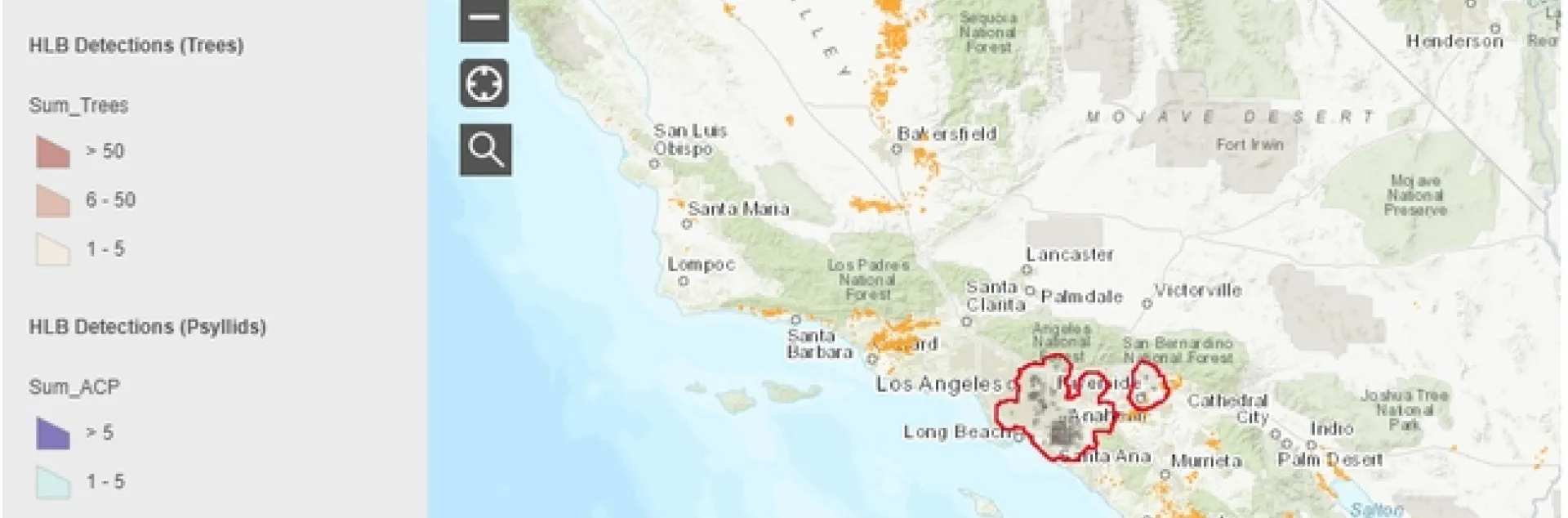 Asian citrus psyllid infected with huanglongbing disease found in ...